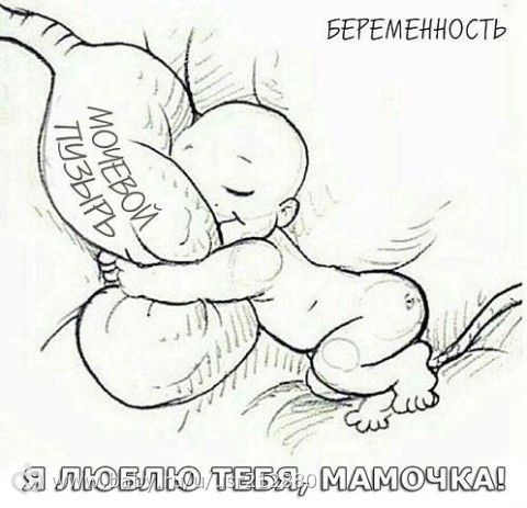 Не хочу часто в туалет при беременности
