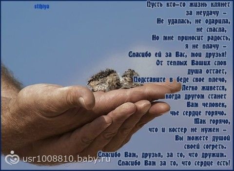 Спасибо вам мужчины статус Спасибо вам мужчины статус