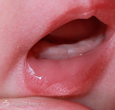 Крупа булгур: рецепты и полезные свойства. Как её готовить? Как снять порчу самостоятельно - Junona. org