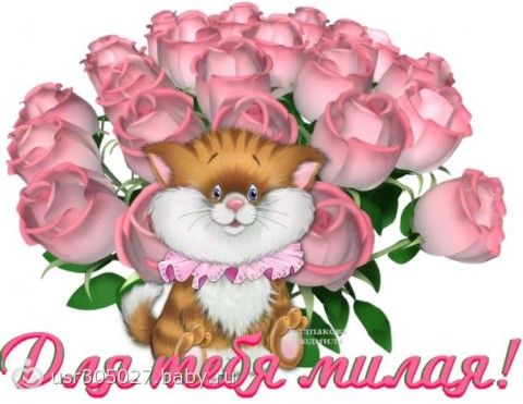 Котята: Игра Собери котят в ряд, кот подставил котёнка, Храбрый Как сделать открытку (видеоклип) из фото, картинок и музыки