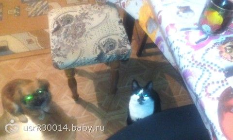 Биологические добавки для похудения
