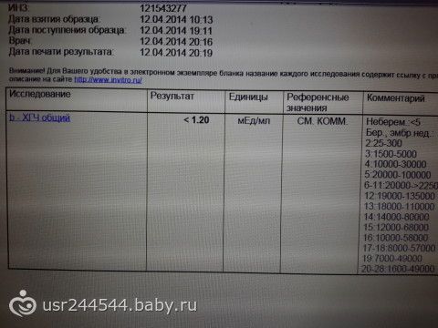 Сдала кровь на беременность Сдала кровь на беременность