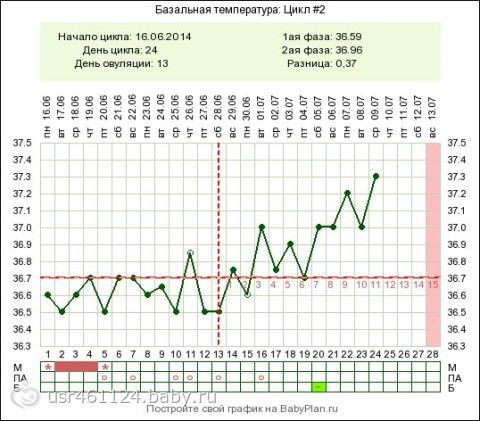 Максимальная температура у беременных на ранних сроках 28