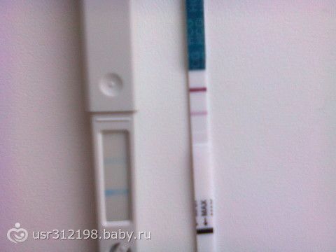 Влияние стресса во время беременности В Чем Причина Бесплодия Межвидовых Гибридов?