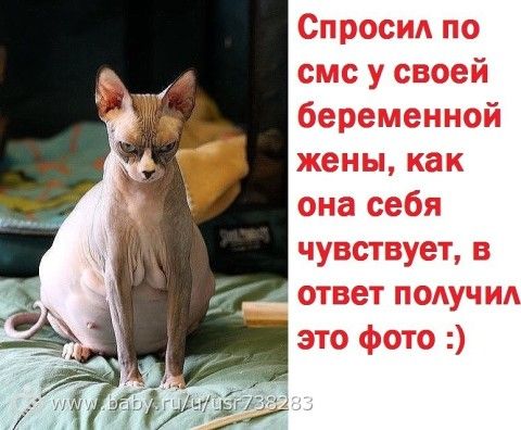 Когда чувствуешь себя беременной 42
