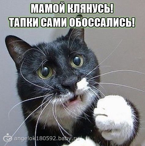 Богом клянусь твои тапочки сами