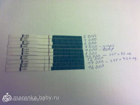 Эко тест на беременность