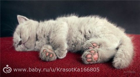 Марафон &amp;quot;Циферки&amp;quot;. Задание на вторник(19.05.)