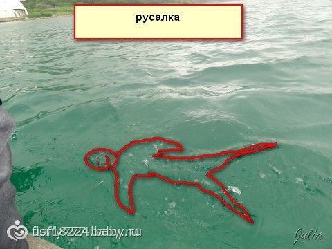 русалки существуют. фото онлайн русалки существуют. фото