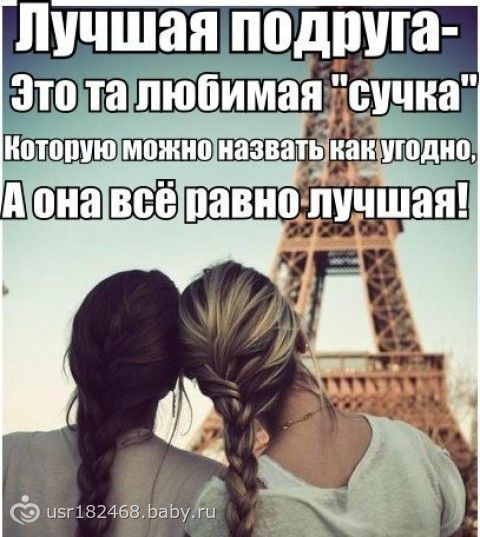 этой статье вислови про найкращу подругу обработка отучить курицу вислови про найкращу подругу жизнь