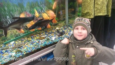 Наши покатушки!