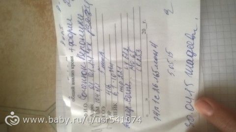АНАЛИЗ КРОВИ. Кто может расшифровать?