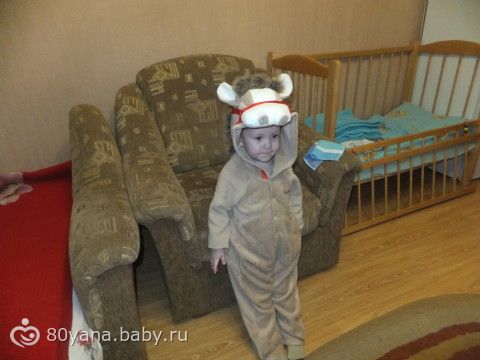Мой мустанг :-))))) Новогодний костюм