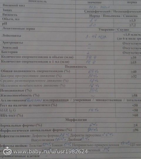 спермограмма мужа после курса пиявок