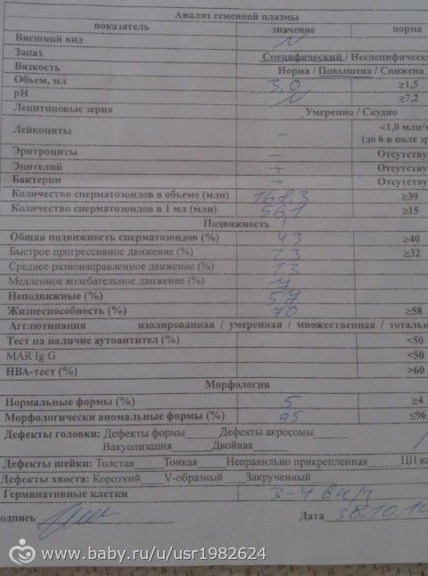 спермограмма мужа после курса пиявок