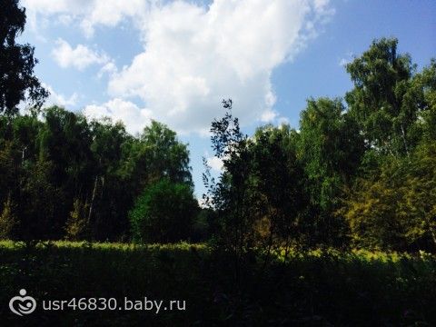 Прогулка в лес , Косино-Ухтомский район) фото+видео;)