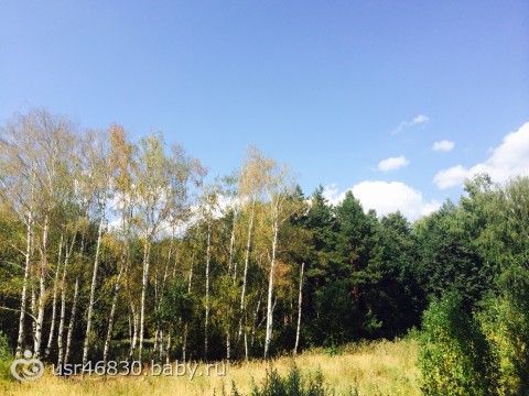 Прогулка в лес , Косино-Ухтомский район) фото+видео;)