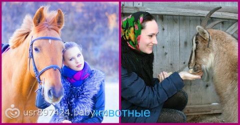Итоги ФИНАЛА 3 сезона