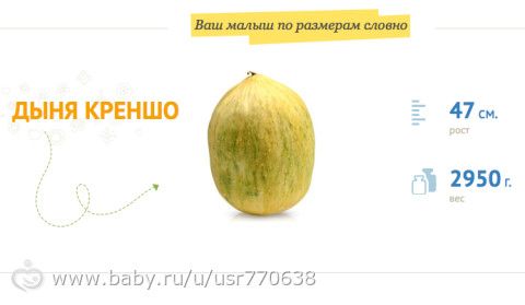 36 недель - планы на декрет!