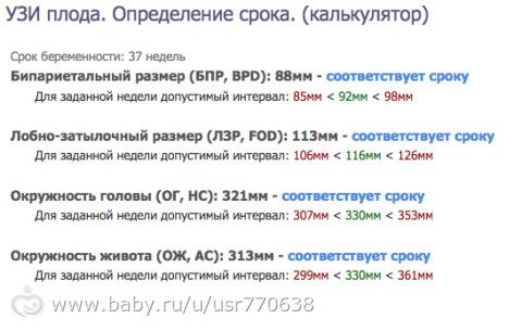Полные результаты УЗИ - 37 нед и 2 дня