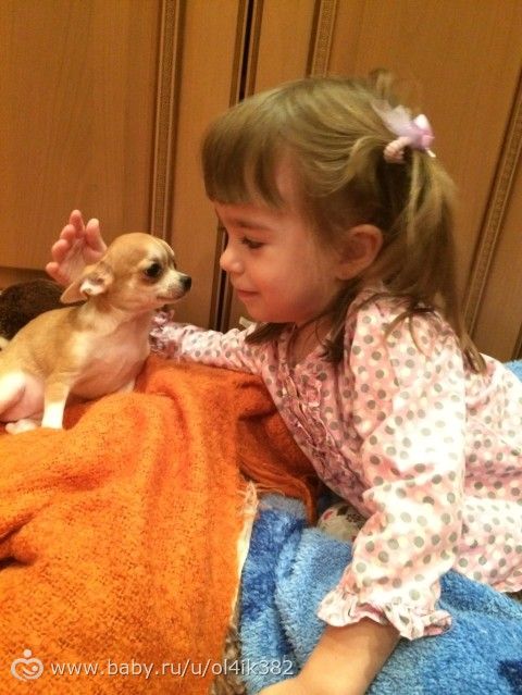 Наш больничный) Или Все обо всем)))