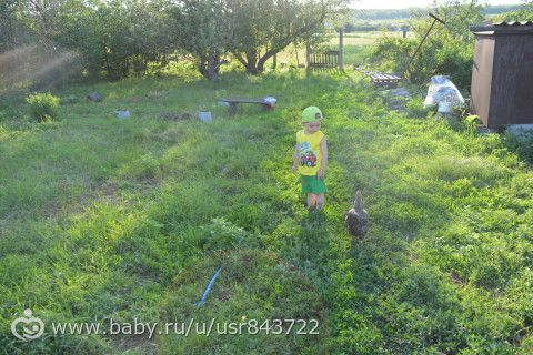Поездка в деревню