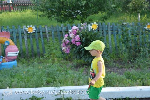Поездка в деревню