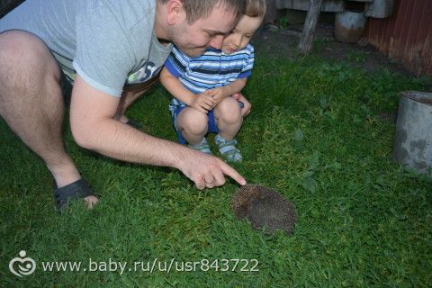 Поездка в деревню