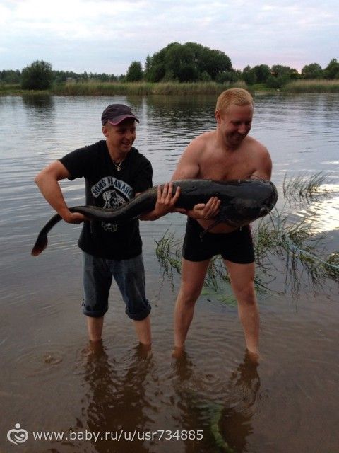 Лето=)))))