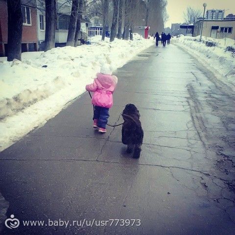 Драки между собакой и дочкой