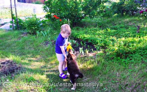 Мы вернулись!!! Много букв и много фото)))