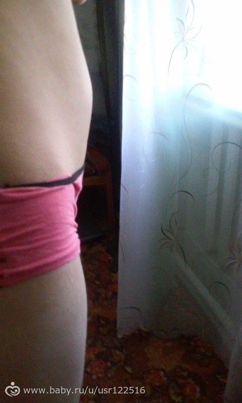 Животик