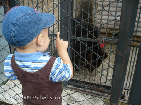 про нас и фоточки