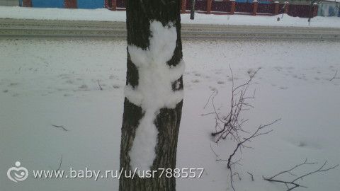 Снег и что из него получилось)
