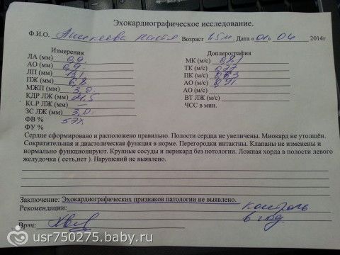 Общий план эхокардиографического обследования протокол исследования