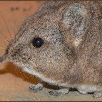 С кем оставить ребенка С кем оставить ребенка