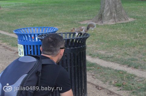 Отчет с DC (много букв и фото)