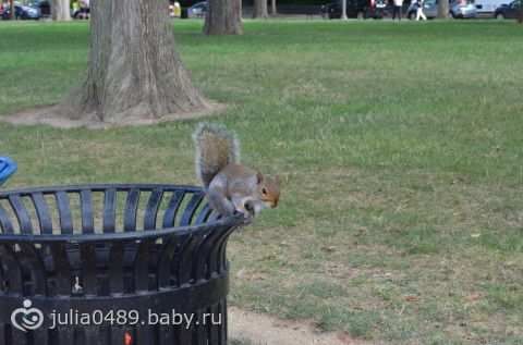 Отчет с DC (много букв и фото)
