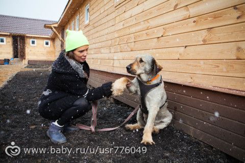 Боня ищет дом :) или Посещение гостиницы для животных.