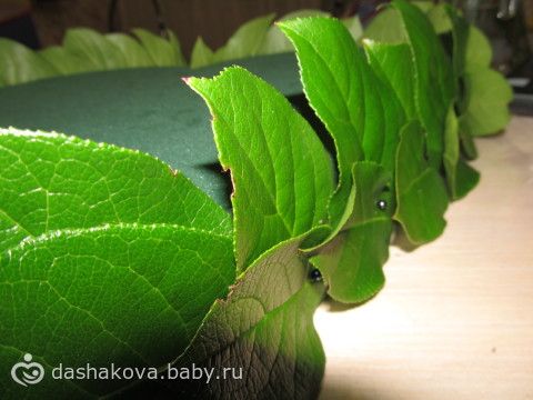Сердце с клубникой и розами своими руками. 54216809.257051431. Сердце с клубникой и розами своими руками фото. Сердце с клубникой и розами своими руками-54216809.257051431. картинка Сердце с клубникой и розами своими руками. картинка 54216809.257051431. Для создания сердца из роз и клубники нам понадобятся: