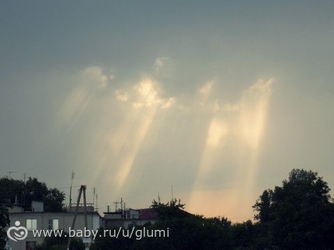 Мои фото-работы... №2