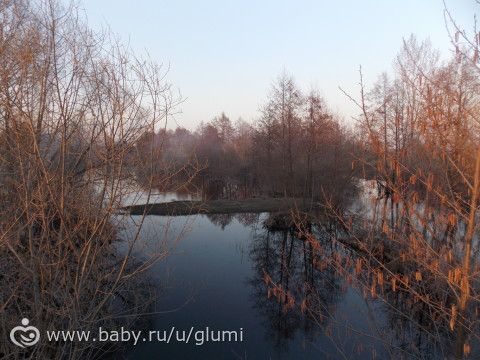Мои фото-работы... №2