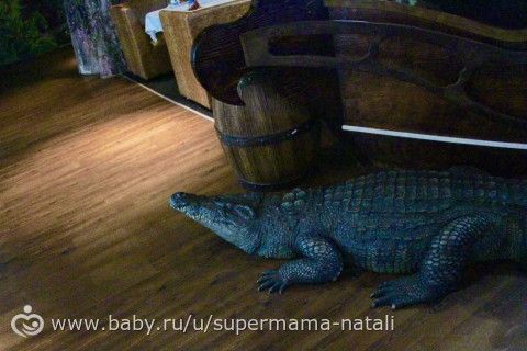 Мелискин День Рождения