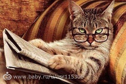 Набор на конкурс &quot; Я и мой кот&quot;