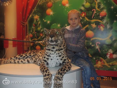 Новогодние праздники!!! фото
