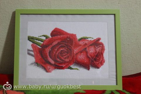 мои розы номер 2