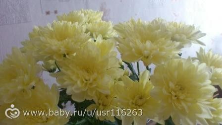 О выходных, последней неделе весны, обо мне и моей семье.