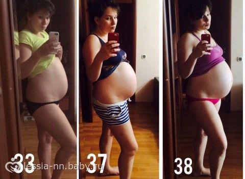 38 недель
