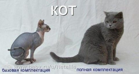ахахахах))))