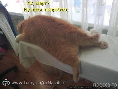ахахахах))))